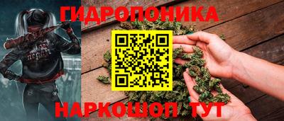 стафф Краснознаменск
