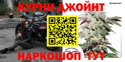 стафф Краснознаменск