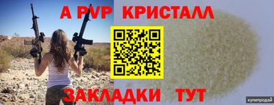 стафф Краснознаменск