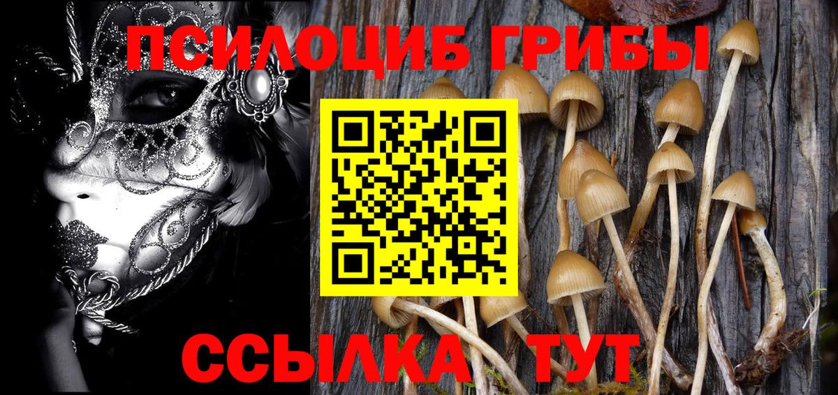 Галлюциногенные грибы Psilocybine cubensis  Вход с VPN  Тельмана  Галлюциногенные грибы прущие грибы 