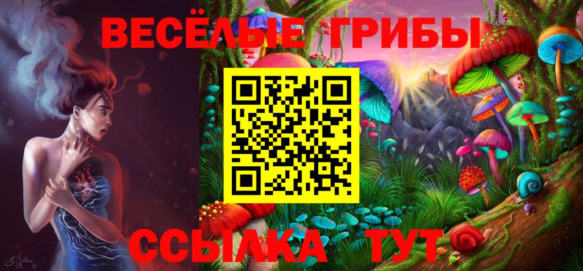Галлюциногенные грибы Psilocybine cubensis Тельмана