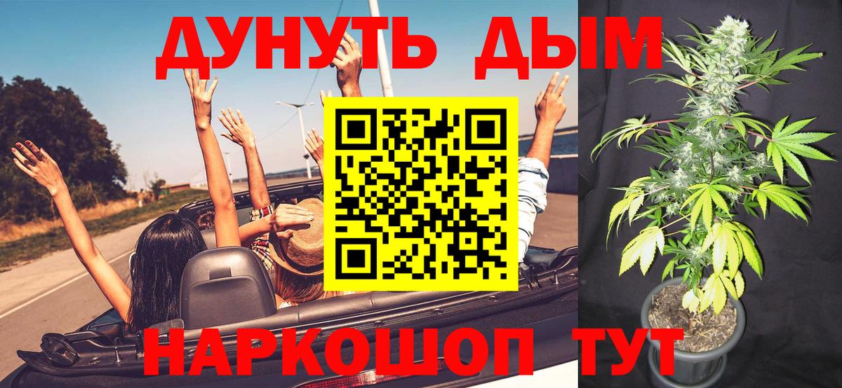 Каннабис индика Тельмана